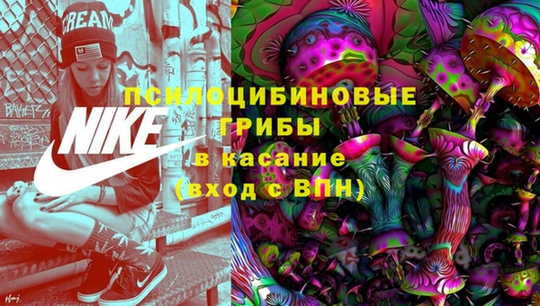 МДПВ Волоколамск