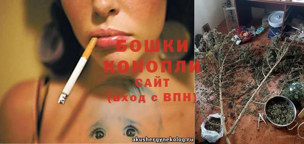 МДПВ Волоколамск