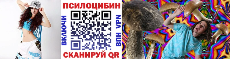 Галлюциногенные грибы прущие грибы  где можно купить наркотик  МЕГА ONION  Щучье 